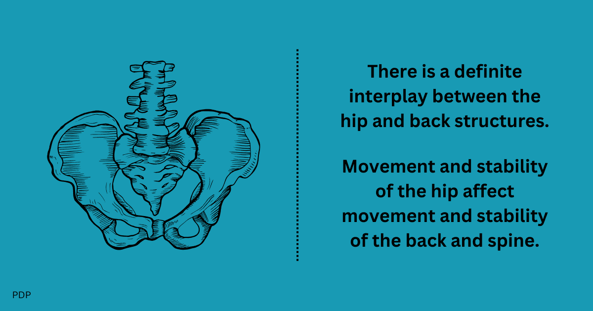 Can hip pain cause back pain? This emphasizes the relationship between hip and spine